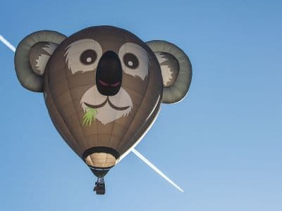 Mongolfiera vista da vicino - Raduno Mongolfiere Mondovì